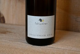 Souvignier Gris